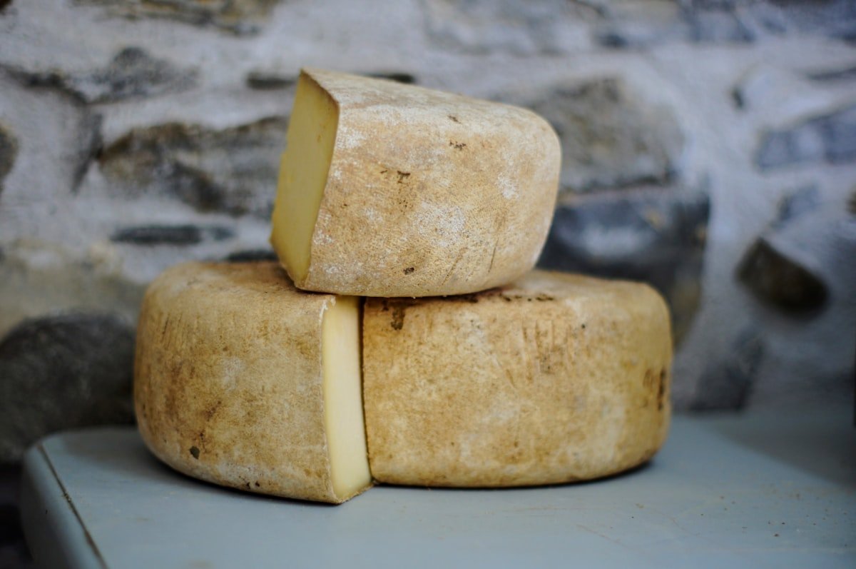 Premium cheddar cheese